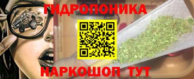 СК Краснодар
