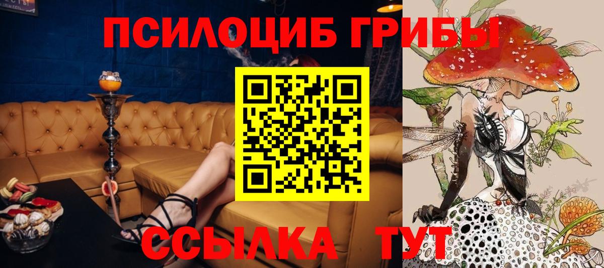 Галлюциногенные грибы мицелий  купить наркотики сайты  Псилоцибиновые грибы ЛСД  Камень-на-Оби  Вход с VPN 