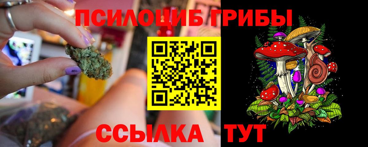 Галлюциногенные грибы GOLDEN TEACHER Камень-на-Оби